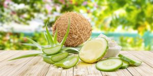 Natural remedies for sunburn including aloe and cucumber.