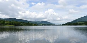Tranquil landscape with a calm lake and greenery.