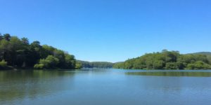 Tranquil lake surrounded by green trees and blue sky.