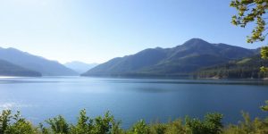 Peaceful nature scene with calm lake and greenery.