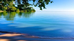 Calm water reflecting a clear blue sky.